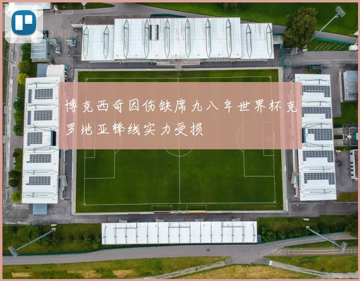 博克西奇因伤缺席九八年世界杯克罗地亚锋线实力受损