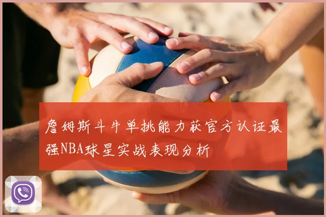 詹姆斯斗牛单挑能力获官方认证最强NBA球星实战表现分析