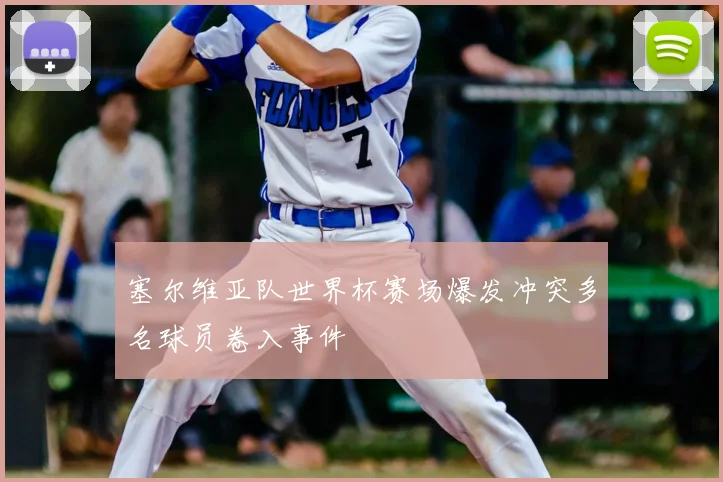 塞尔维亚队世界杯赛场爆发冲突多名球员卷入事件