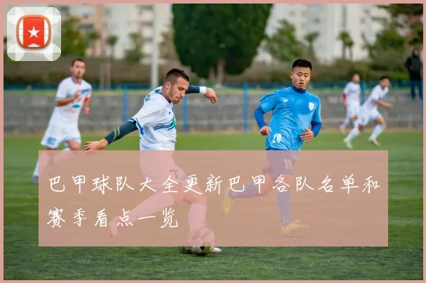 巴甲球队大全更新巴甲各队名单和赛季看点一览