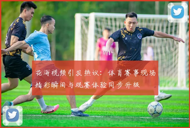 花海视频引发热议：体育赛事现场精彩瞬间与观赛体验同步升级