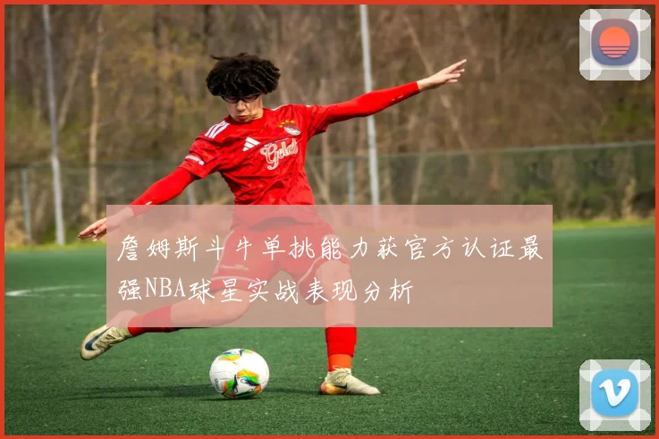 詹姆斯斗牛单挑能力获官方认证最强NBA球星实战表现分析