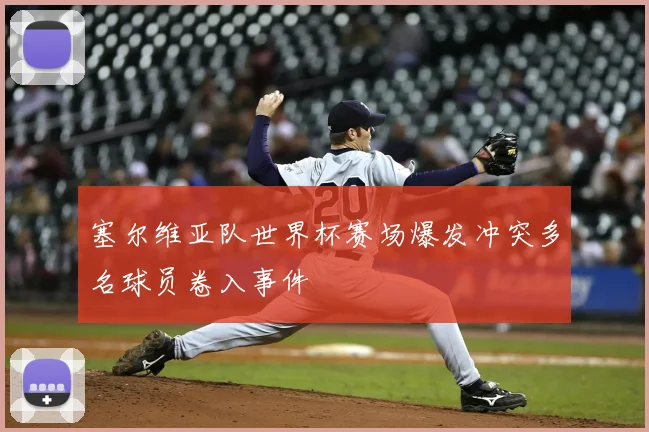 塞尔维亚队世界杯赛场爆发冲突多名球员卷入事件