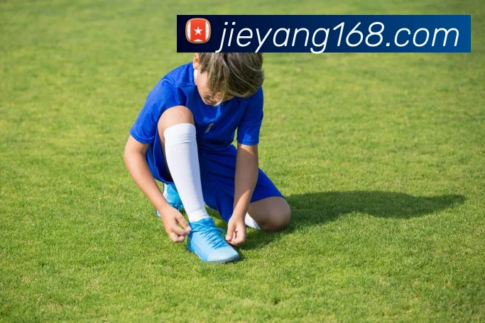 球友体育官网登录入口平台生态图